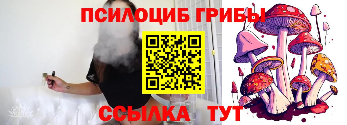 Псилоцибиновые грибы Cubensis  купить закладку  Псилоцибиновые грибы Psilocybine cubensis  Миасс  Вход с VPN 